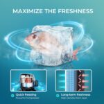 EUHOMY 1.1 Cubic Feet Mini Freezer, Countertop, Single Door Compact Upright Freezer with Reversible Door, Removable Shelves, Small freezer for Home/Dorms/Apartment/Office, New Black - Image 5