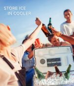 ecozy Portable Ice Maker Countertop, 9 Cubes Ready in 6 Mins, 26 lbs in 24 Hours, Self-Cleaning Machine with Ice Bags/Standing Ice Scoop/Ice Basket for Kitchen Office Bar Party, Aqua - Image 5