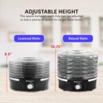 Elite Gourmet EFD319 Food Dehydrator, 5 BPA-Free 11.4" Trays Adjustable Temperature Controls, Jerky, Herbs, Fruit, Veggies, Dried Snacks, Black - Image 2