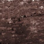 LAURA GELLER NEW YORK Kajal Longwear Kohl Eyeliner Pencil - Smoky Taupe Kohl - Caffeine and Vitamin E - Smooth & Blendable Liner - Built-In Sharpener - Image 10