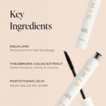 DIME Beauty Volume Mascara - Smudge-Proof Tubing Mascara for Fuller, Thicker Lashes, Adds Volume & Length, Black 0.28 oz / 8 g - Image 5