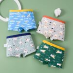 Boys Cotton Boxer Briefs Dinosaur Polar Bear Toddler Kids Underwear 12 Pack - Image 4