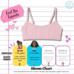 Suggest a better title and return a single title only without any other comments: Popular Cotton Girls Training Bra - Crop Cami Training Bras for Girls with Adjustable Straps. Cotton Bra Pack. - Image 3