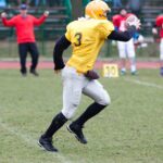 TCK Prosport Tube Socks Baseball Socks Softball Football Socks Durable and Moisture Wicking Over the Calf - Image 2