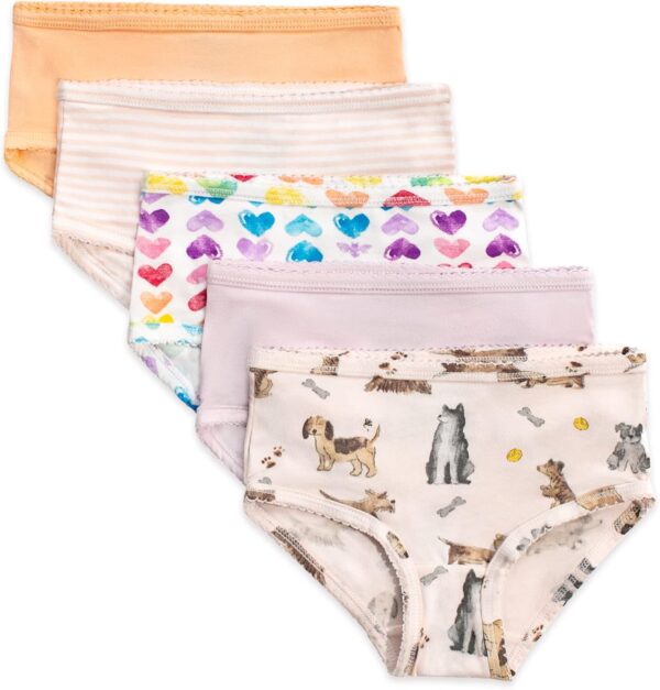 Suggest a better title and return a single title only without any other comments: Burt's Bees Baby Toddler Girls' Underwear Set of 5 - Solids, Stripes,Prints, Tag-Free with Sizes for 2T to 8 Years Old