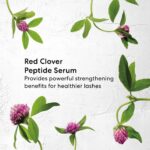 bareMinerals Strength & Length Serum-Infused Black Mascara with Plant-Based Lash Serum, Lengthens, Lifts & Defines for Healthier Lashes, Vegan, Safe for Contact Lens Wearers - Image 6