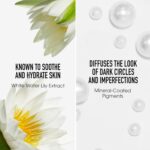 Suggest a better title and return a single title only without any other comments: bareMinerals Original Liquid Mineral Concealer, Brightening Dark Circle Eye Concealer, Reduces Look of Fine Lines, Buildable Coverage, Vegan - Image 5