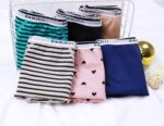 Suggest a better title and return a single title only without any other comments: Demifill Teen Girls Period Panties Juniors First Period Starter Underwear Soft Briefs Pack of 6 Multipack - Image 5