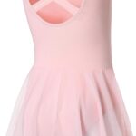 Suggest a better title and return a single title only without any other comments: DIPUG Ballet Leotards for Girls Ballet Leotard with Skirt Toddler Dance Leotards Flutter Sleeve and Criss-Cross Back