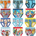 Paw Patrol boys 12-pk of 100% Cotton Panties in Advent Box Makes Holidays and Potty Training Fun, Sizes 2/3t, 4t & 5t
