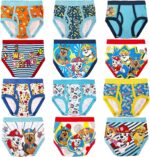 Paw Patrol boys 12-pk of 100% Cotton Panties in Advent Box Makes Holidays and Potty Training Fun, Sizes 2/3t, 4t & 5t