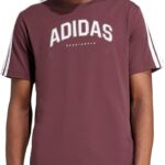 Adidas Mens Codes Collegiate Linear Graphic T-Shirt