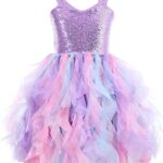 Suggest a better title and return a single title only without any other comments: Tutu Dress for Girls Sparkly Sequin Tulle Princess Birthday Party Dress for Toddler Girls Prom Sneaker Ball Gown